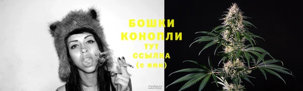 кокс Касимов
