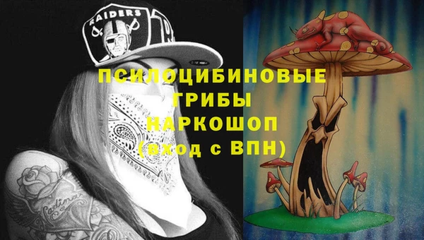 кокс Касимов