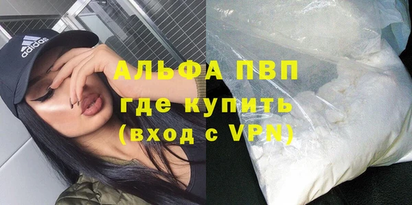 кокс Касимов