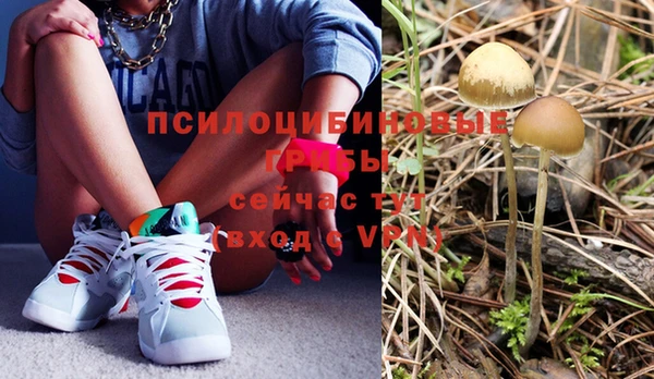 бошки Карталы