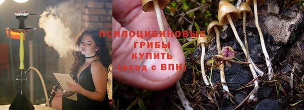 кокс Касимов