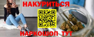 гидра Новозыбков