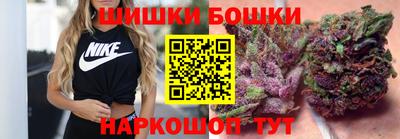 гидра Новозыбков