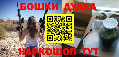 гидра Новозыбков