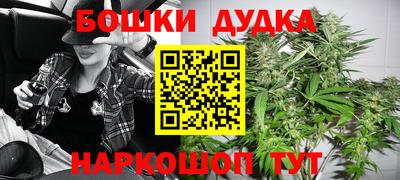 ПСИЛОЦИБИНОВЫЕ ГРИБЫ Новокубанск