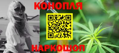 гидра Новозыбков