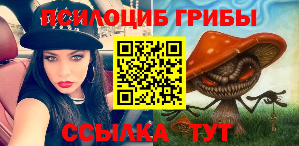 Псилоцибиновые грибы Cubensis  купить наркоту  Салават  Вход с VPN 