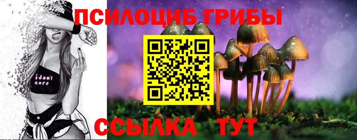 Галлюциногенные грибы прущие грибы Салават